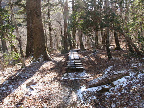 20181214hike (264)